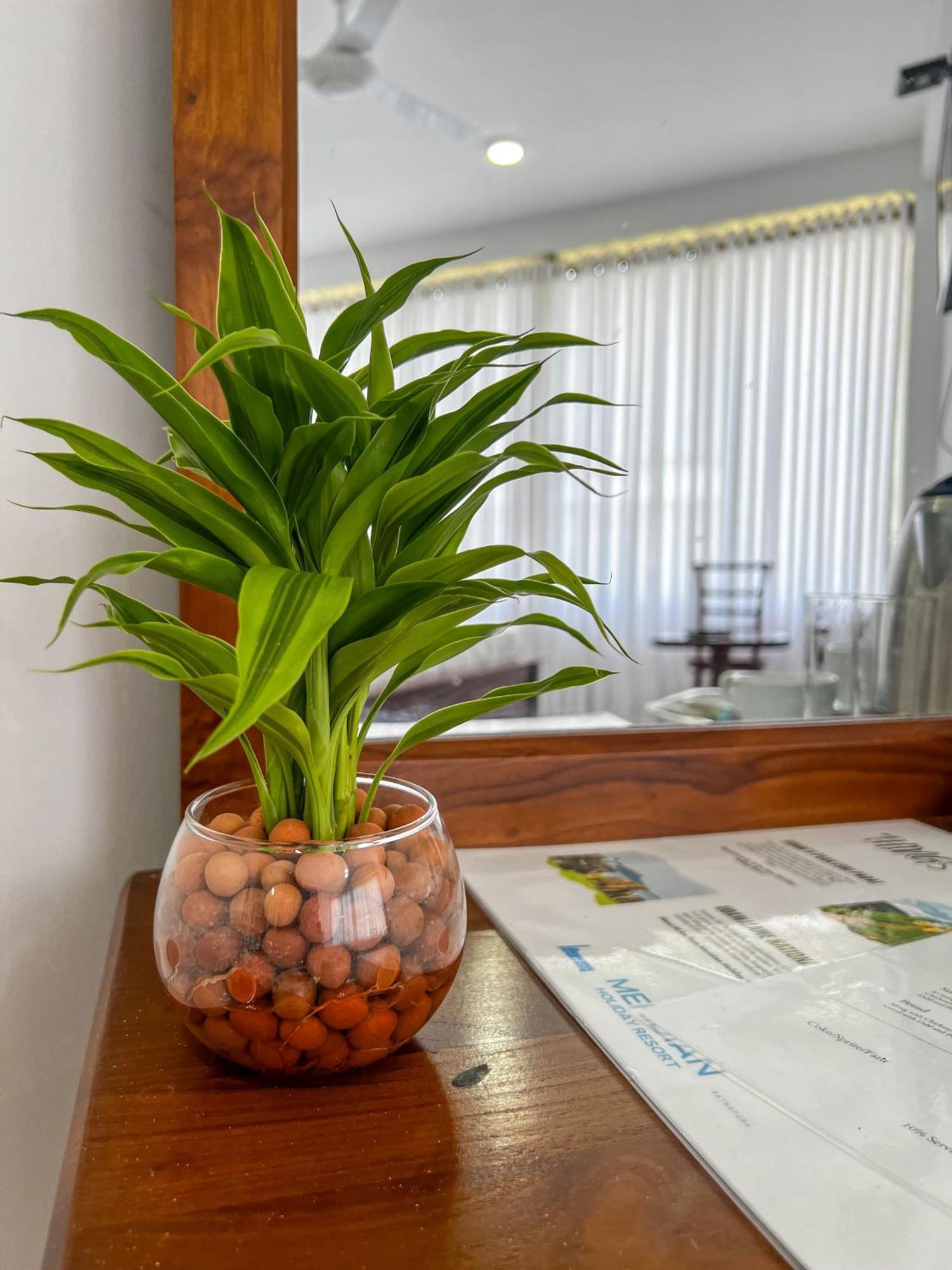 Meridian Holiday Resort 拉特纳普勒 外观 照片
