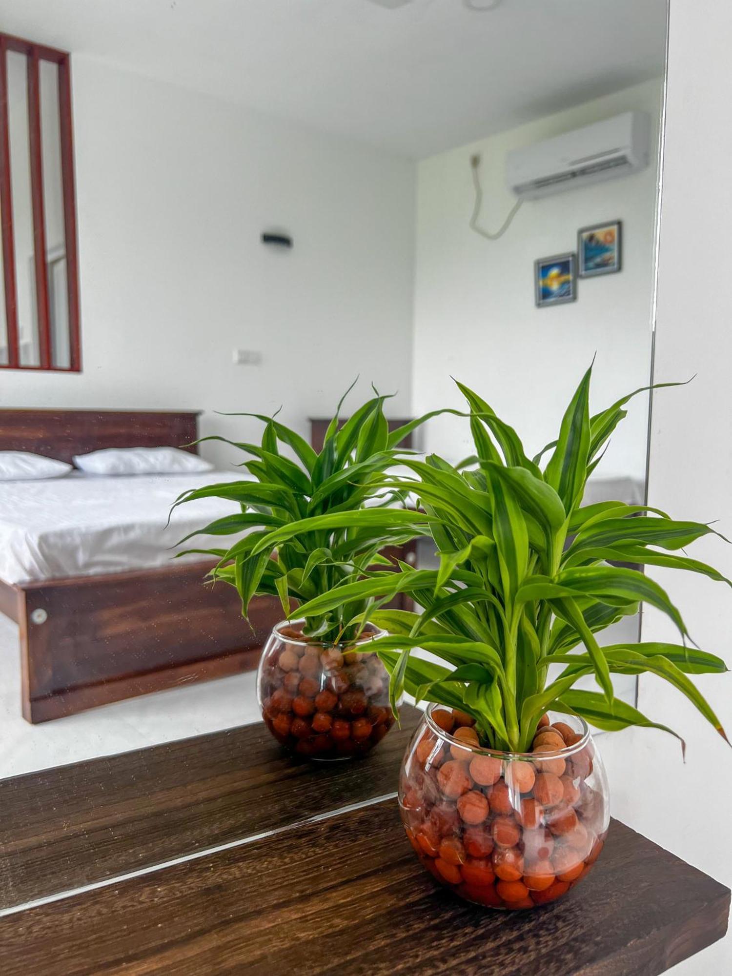 Meridian Holiday Resort 拉特纳普勒 外观 照片